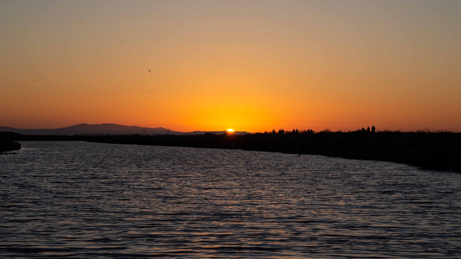 Alviso Marina County Park